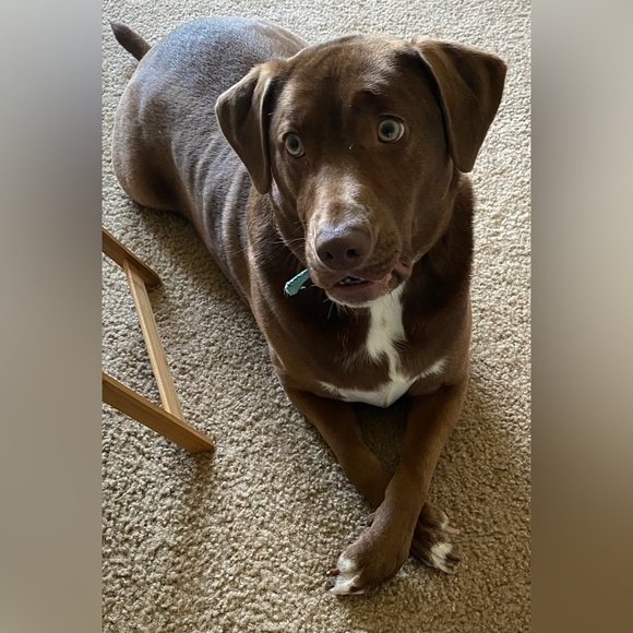 Meet your Posher, Sherrae - Picture 7 of 9